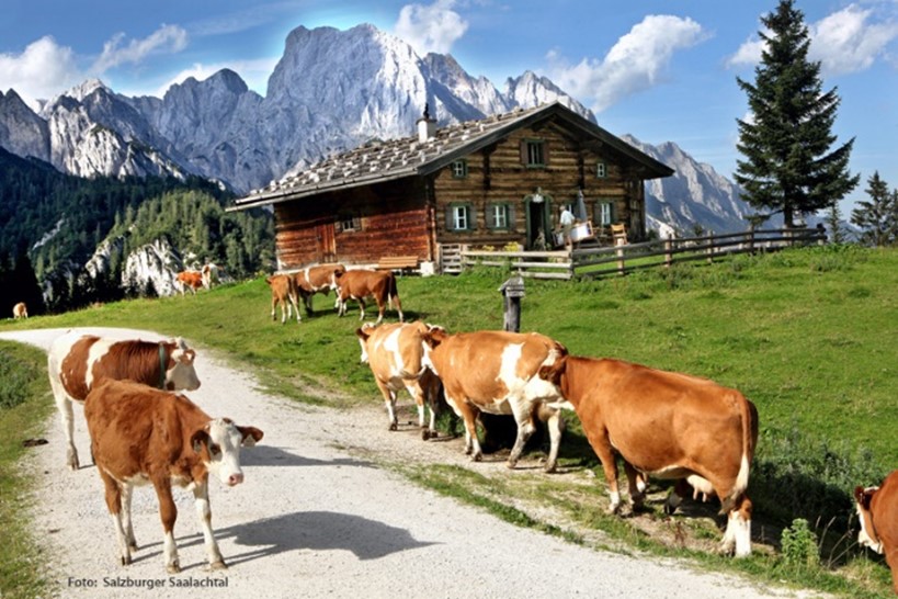 Saisonschlussfahrt ins Saalachtal