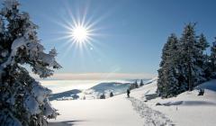 Verschneite Jurawälder